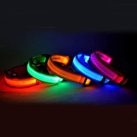 Nylon LED Pet Dog Luminous Collar Night Safety Flashing Glow in Dark Dog Cat Leash Adjustable Pet Supplies — vue 1