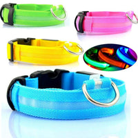 Nylon LED Pet Dog Luminous Collar Night Safety Flashing Glow in Dark Dog Cat Leash Adjustable Pet Supplies — vue 6
