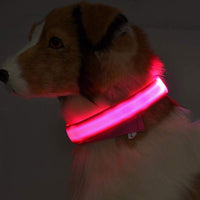 Nylon LED Pet Dog Luminous Collar Night Safety Flashing Glow in Dark Dog Cat Leash Adjustable Pet Supplies — vue 4