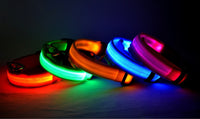 Nylon LED Pet Dog Luminous Collar Night Safety Flashing Glow in Dark Dog Cat Leash Adjustable Pet Supplies — vue 3