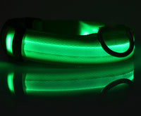 Nylon LED Pet Dog Luminous Collar Night Safety Flashing Glow in Dark Dog Cat Leash Adjustable Pet Supplies — vue 2