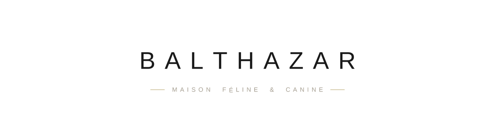 Balthazar — Maison féline & canine
